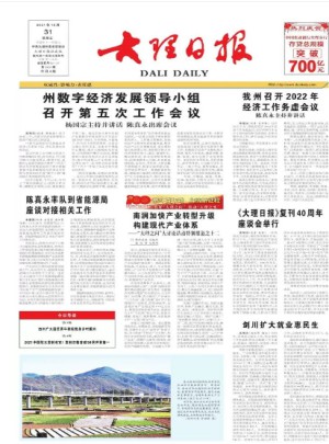 大理日报(汉)